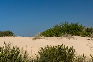 Caesarea Beach Dunes, a Nature Photo by Imaginarium