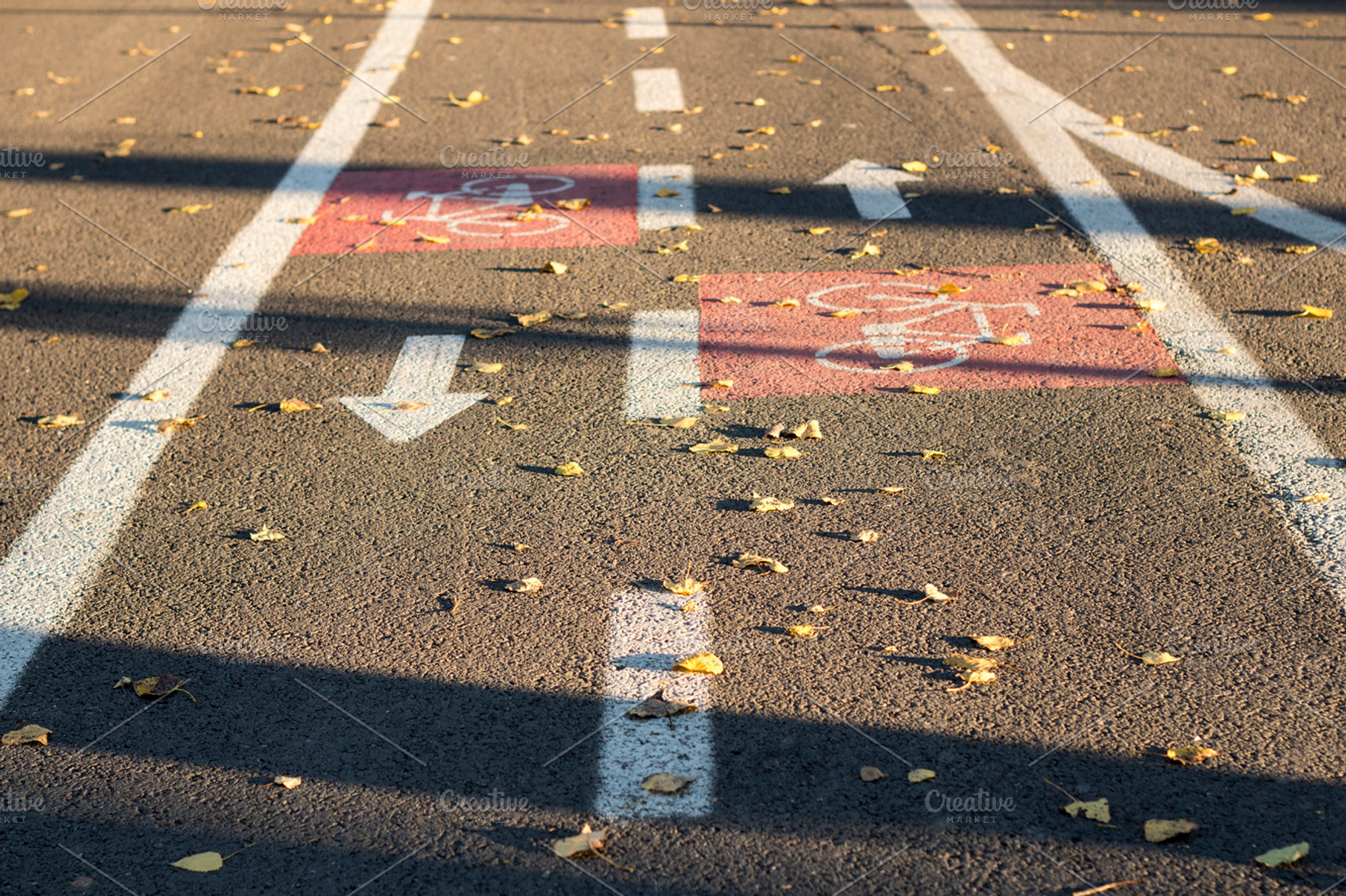 Bike Trail, a Sports & Recreation Photo by Pixelglow Images