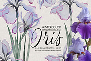 Transparent flowers of iris., an Illustration by RushkinaAntonina (Thumbnail 1 of 6)