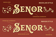 Vianor, a Font by Larin Type Co. (Thumbnail 3 of 9)