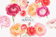 watercolor ranunculus clipart set, a Decorative Illustration by Patishop Art (Thumbnail 2 of 10)