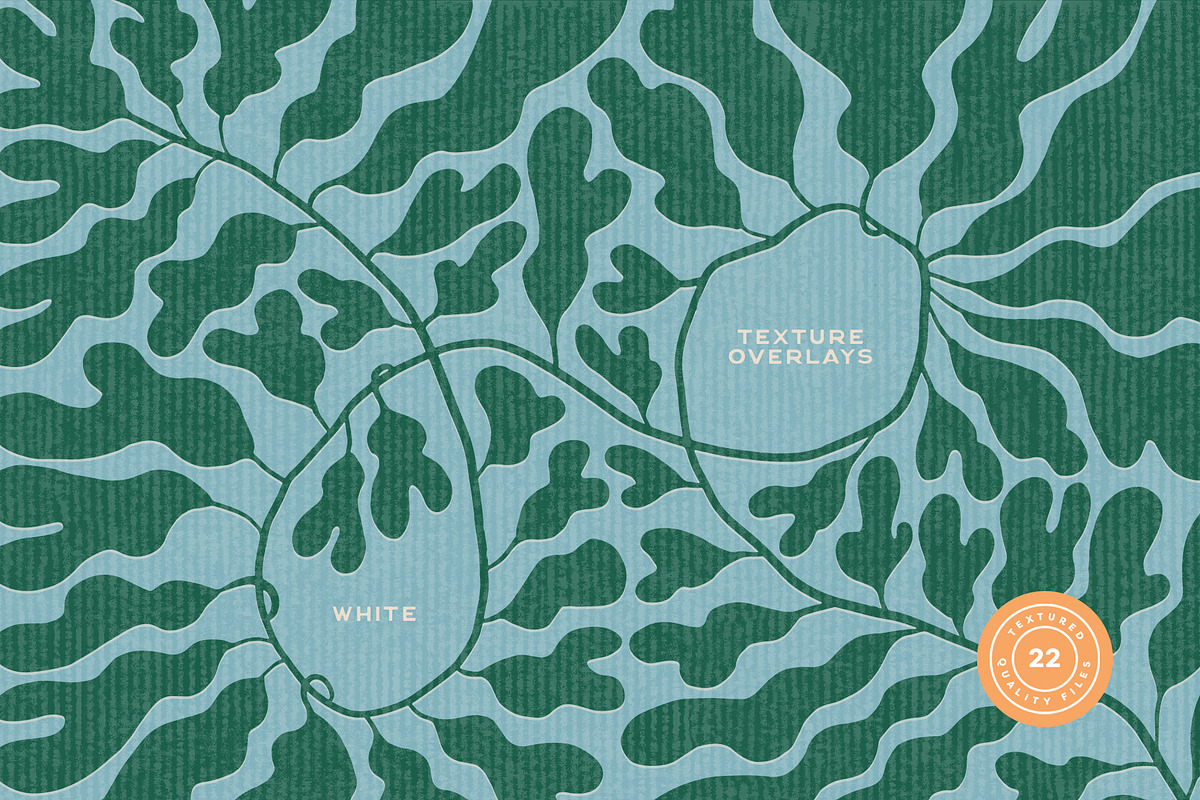 Texture Overlays Vol. 3—Drawn, a Texture Graphic by Basia Stryjecka (Photo 10 of 14)