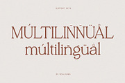 Thaknus, a Serif Font by Sealoung (Thumbnail 11 of 19)