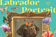 Labrador Portrait, an Object Graphic by TheCuteShop (Thumbnail 5 of 5)