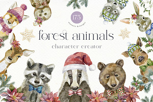 Forest Animals. Character Creator.