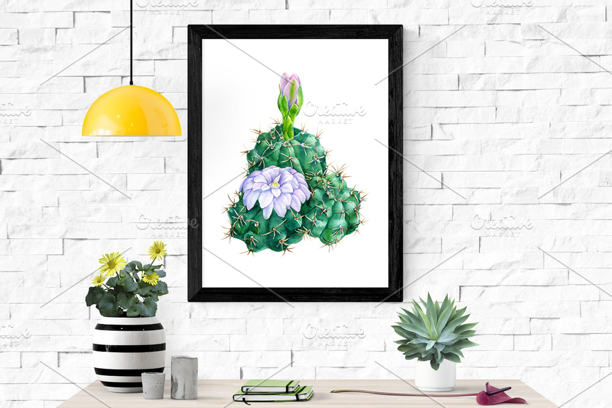 watercolor cacti and succulents, a Decorative Illustration by Hanna Hryharenka (Photo 9 of 9)