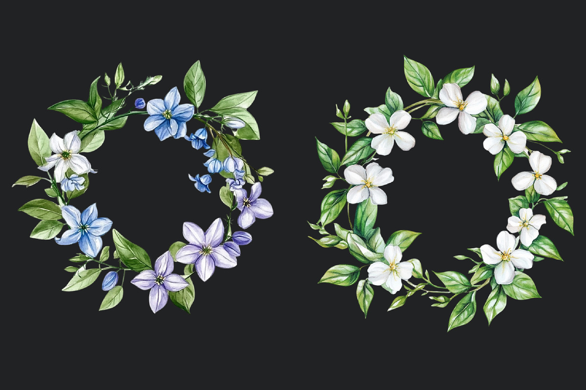Jasmine Flower Bloom Clipart, an Illustration by Rose Art (Photo 5 of 5)