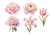Watercolor flower illustration set., a Decorative Illustration by kaisorn (Thumbnail 4 of 5)