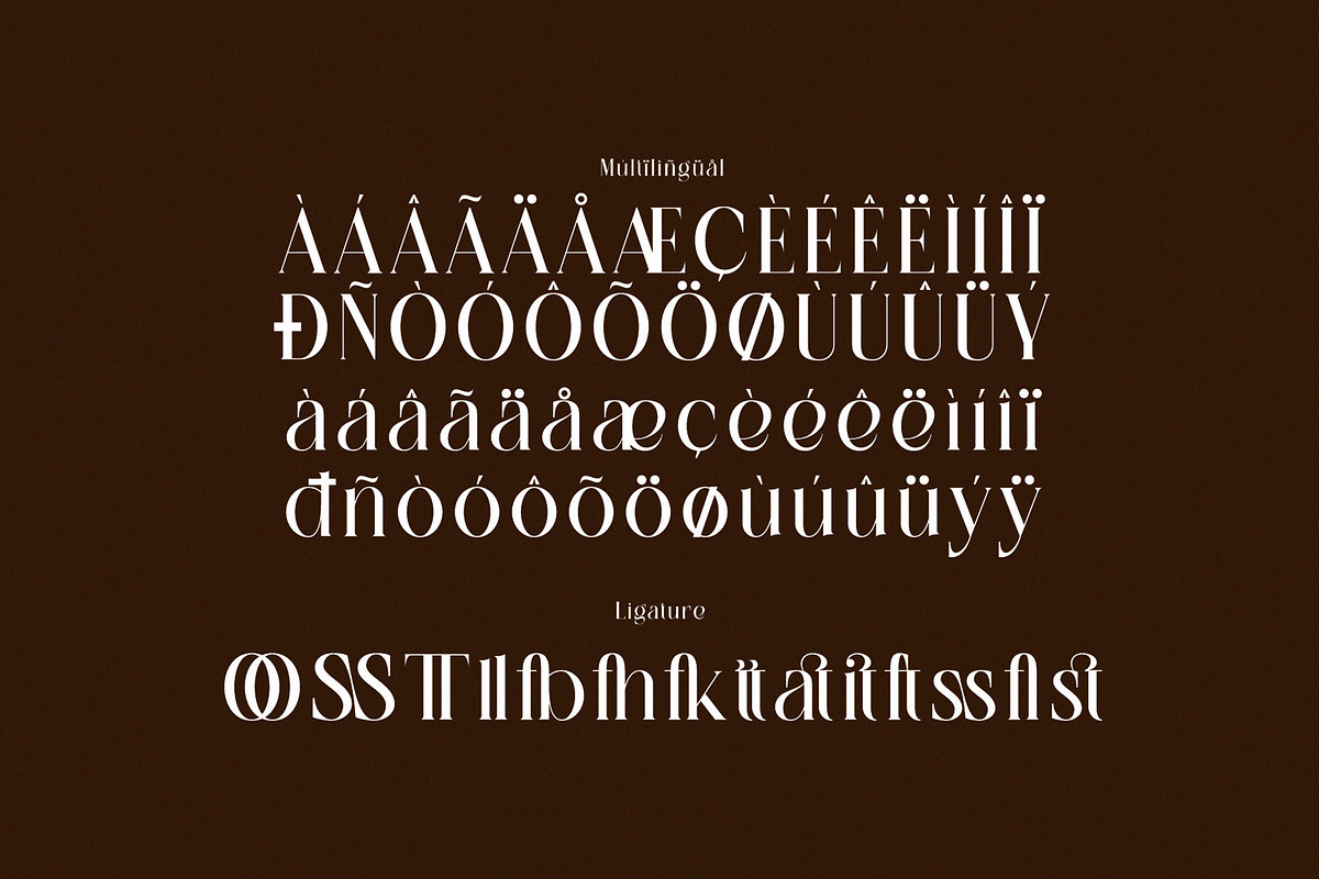 Mallste – Modern Serif Typeface, a Serif Font by Alfinart (Photo 6 of 6)