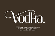 Luvenia sans serif modern, a Sans Serif Font by Missingfont.std (Thumbnail 12 of 12)