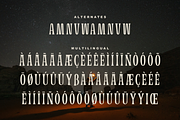 Zenarico Textured Vintage Font, a Serif Font by Salamahtype (Thumbnail 7 of 7)