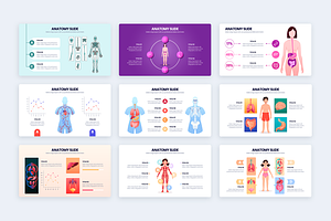 Anatomy Powerpoint Template Slides