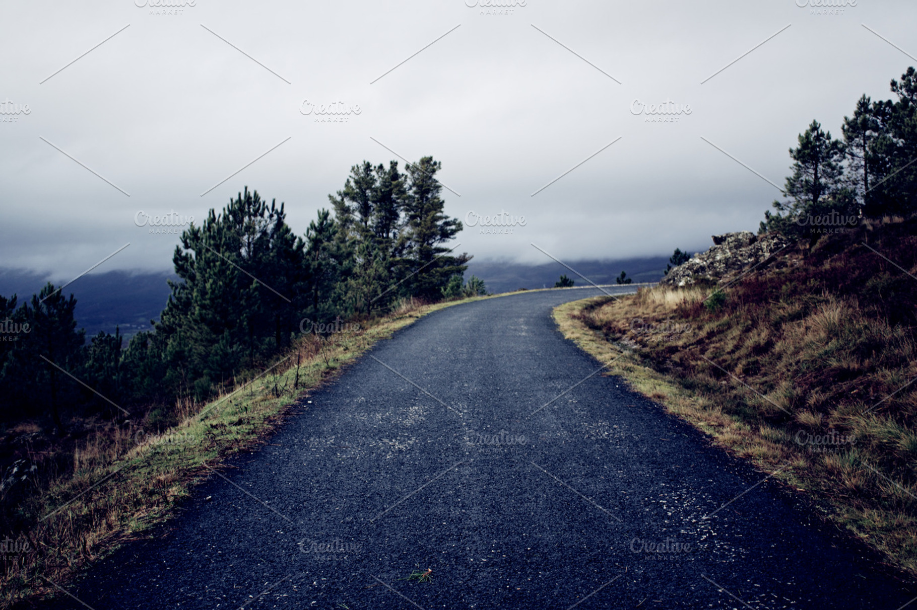 Road On Winter