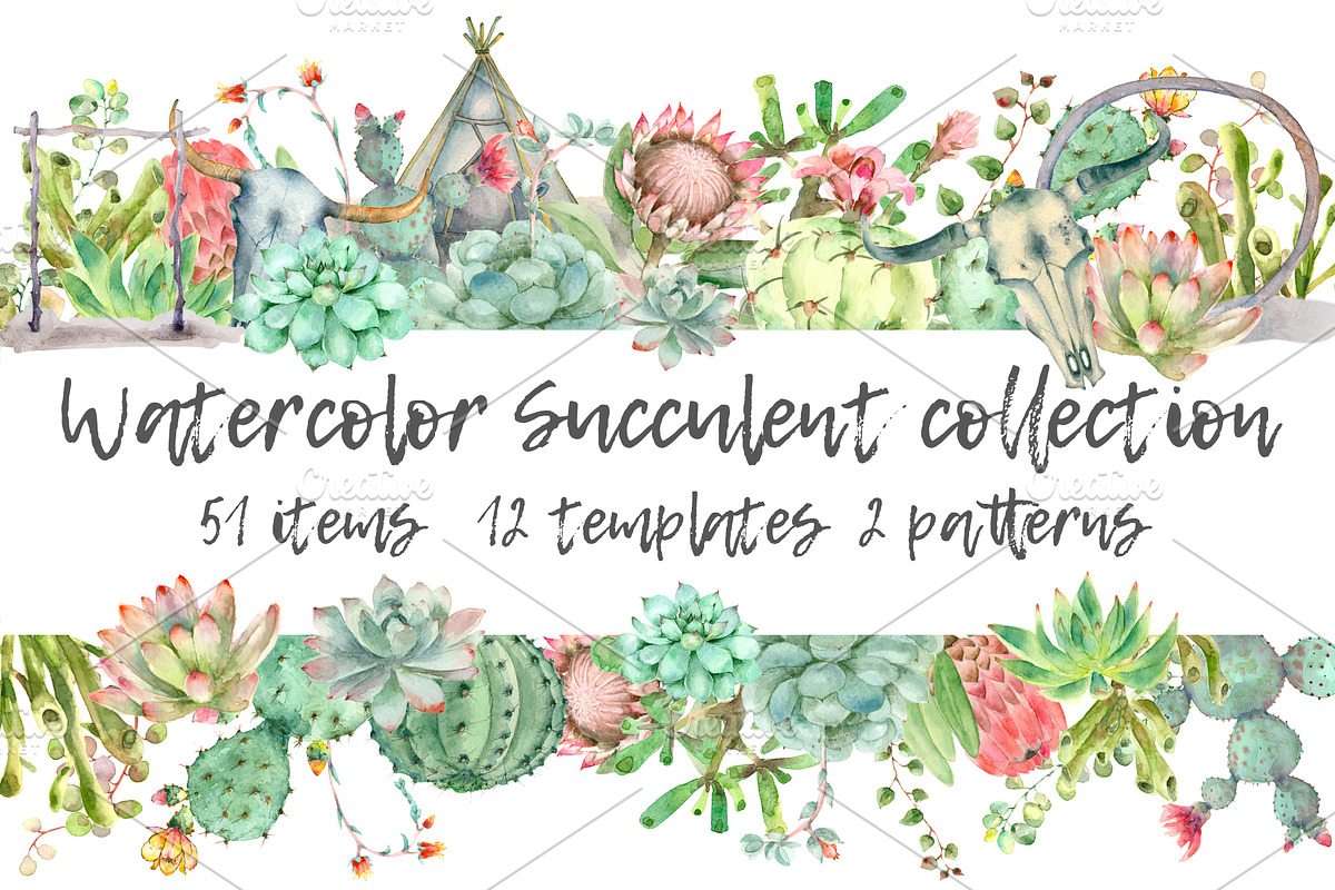 Succulent and Cactus collection, an Illustration by IvanFet (Photo 1 of 10)