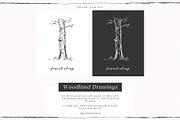 Woodland Drawings, an Animal Illustration by PeDe Designs (Thumbnail 2 of 9)