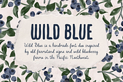 Wild Blue, a Script Font by Bruised Goods (Thumbnail 1 of 12)