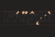Elgraine – 18 Fonts, a Serif Font by Nasir Udin (Thumbnail 11 of 14)