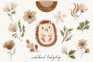 Watercolor Woodland Hedgehog Clipart