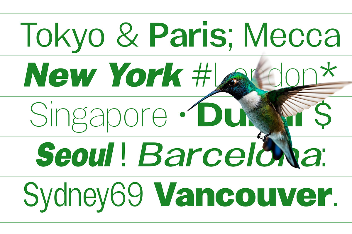 Gavion - 55 Font, a Sans Serif Font by MjStudio31 (Photo 3 of 16)