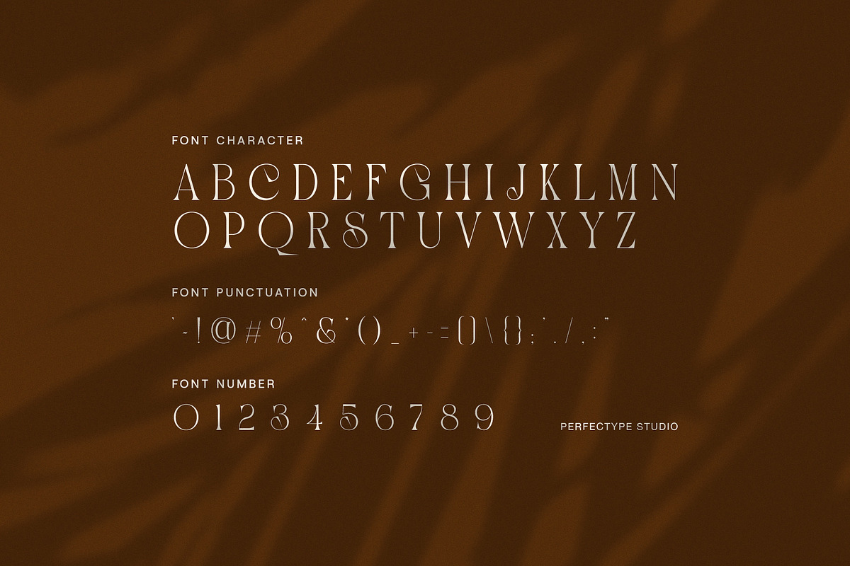 Soraya Elegant Display Serif Font, a Serif Font by Perfectype (Photo 7 of 8)