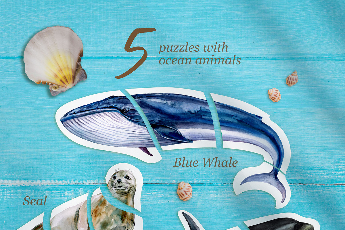 Ocean animals activities for kids, an Animal Illustration by ArtSpotVeronika (Photo 4 of 6)