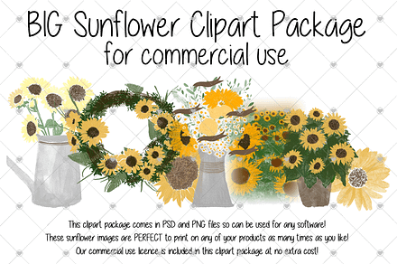 Sunflower, Rustic, Flower, Sunflower