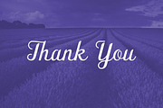 Provence Script, a Script Font by Freshly Made Type (Thumbnail 7 of 7)