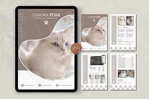 Canva Cat Media Kit Template