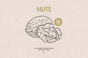 Herbs, Spices, Nuts. Hand drawn set., a Decorative Illustration by Chelovector (Thumbnail 4 of 4)