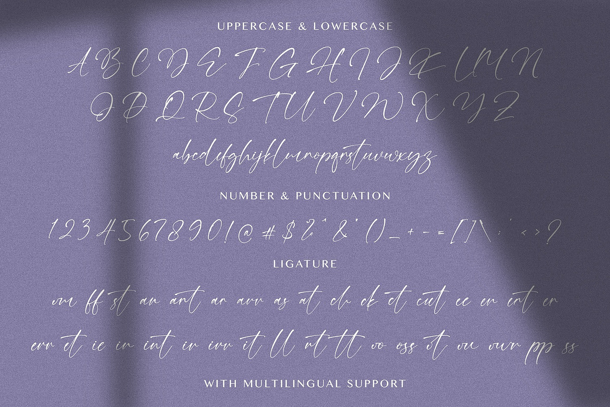 Winter Raya - Signature Font, a Script Font by StringLabs (Photo 8 of 8)