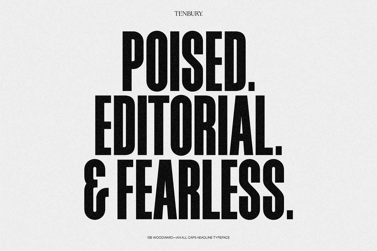 10B Woodward: Editorial Sans, a Font by Tenbury Type (Photo 12 of 12)