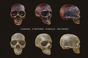 Skulls: 108 Skull Images, an Object Graphic by RuleByArt (Thumbnail 3 of 16)