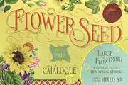 Handmade Font Collection Bundle, a Serif Font by StoricType (Thumbnail 5 of 34)