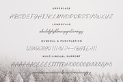 Balcony Handwritten Font, a Handwritten Font by Heinzel Std (Thumbnail 8 of 9)