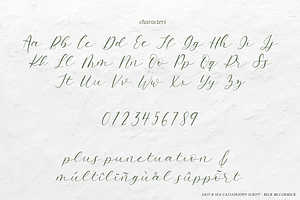 Salt And Sea Calligraphy Font