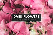 Dark Flowers - Stock Photos, a Nature Photo by outlinez (Thumbnail 8 of 8)