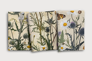 Victorian Herbarium, a Background Graphic by Curve Design (Thumbnail 2 of 7)
