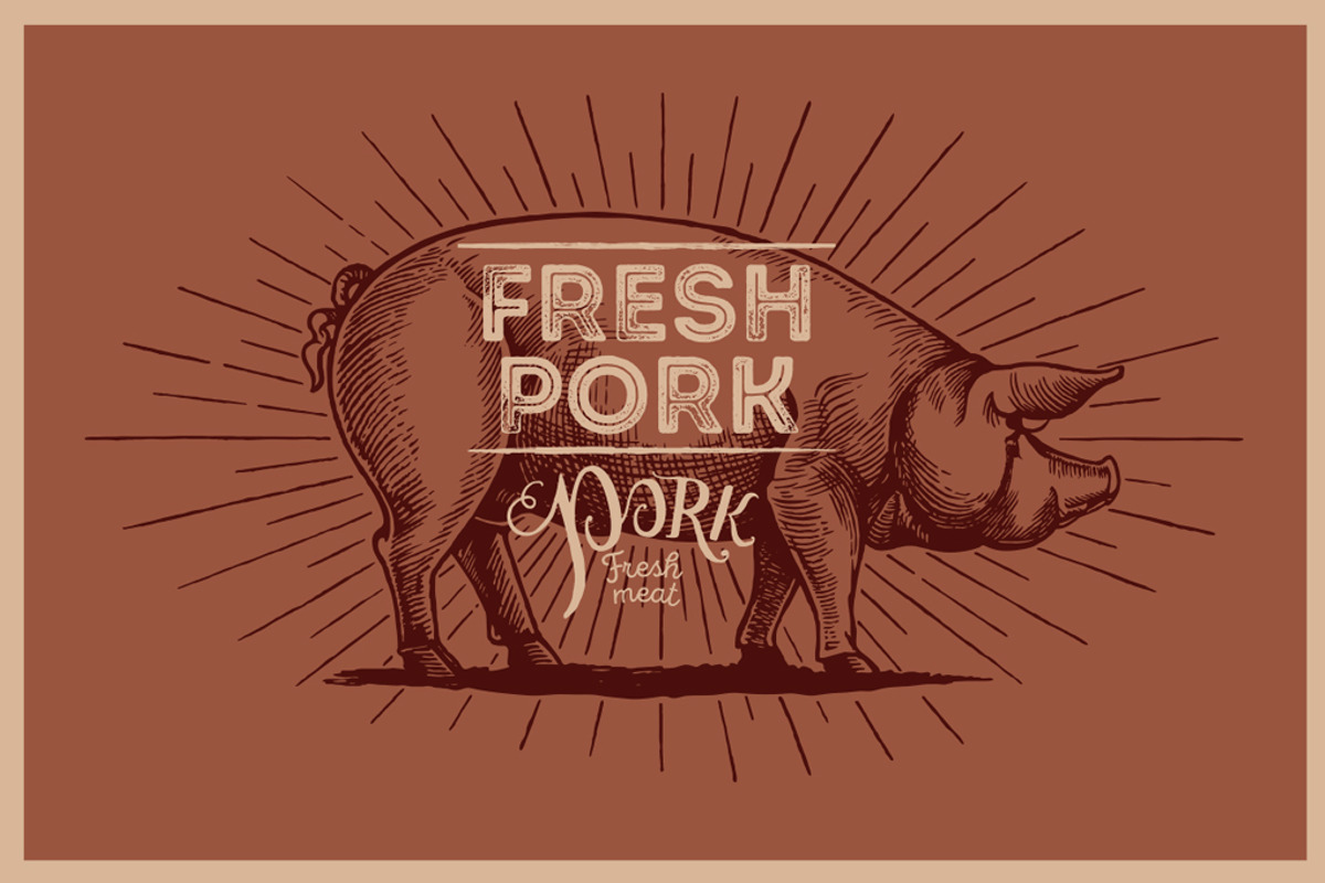 Pigs in graphical style, an Animal Illustration by Countryside life (Photo 5 of 11)