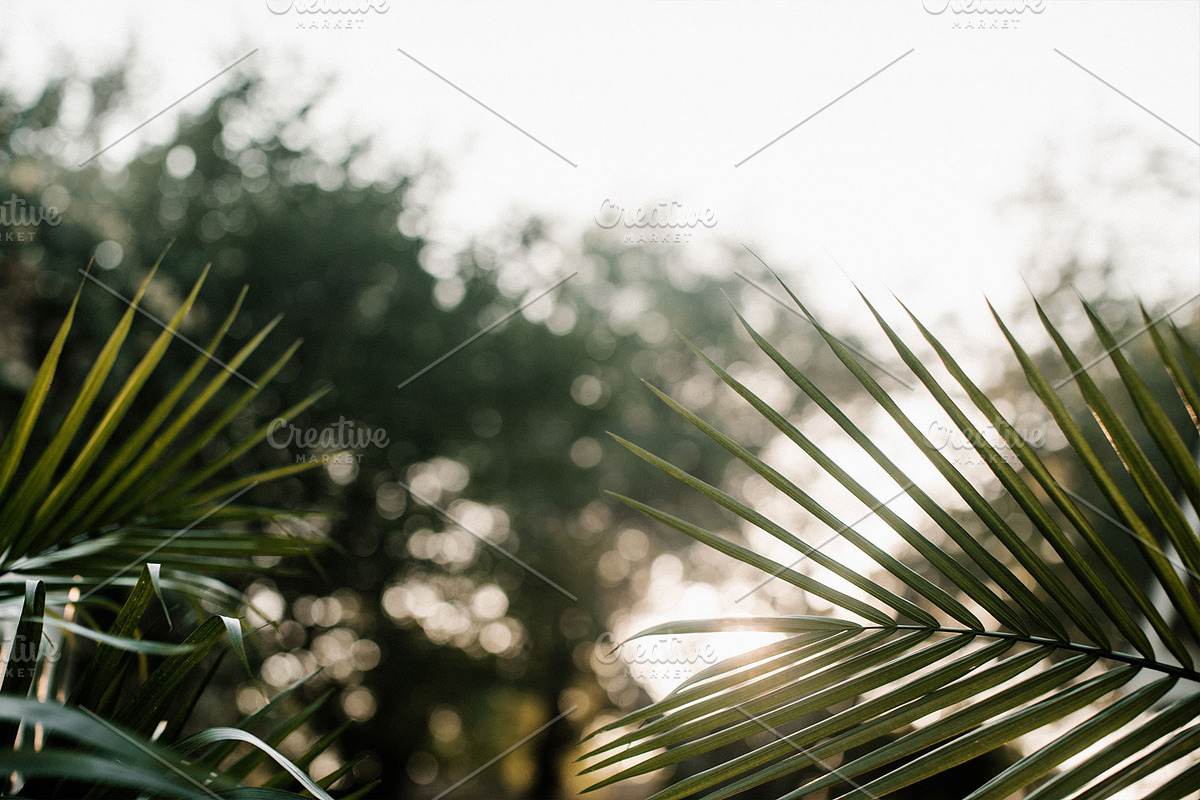 Easter Stock Photo Bundle - 75% OFF!, a Holiday Photo by GetMockups (Photo 7 of 21)