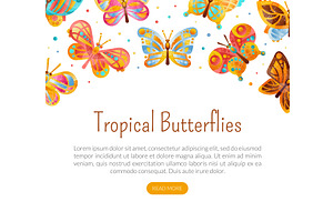 Tropical Butterflies Landing Page