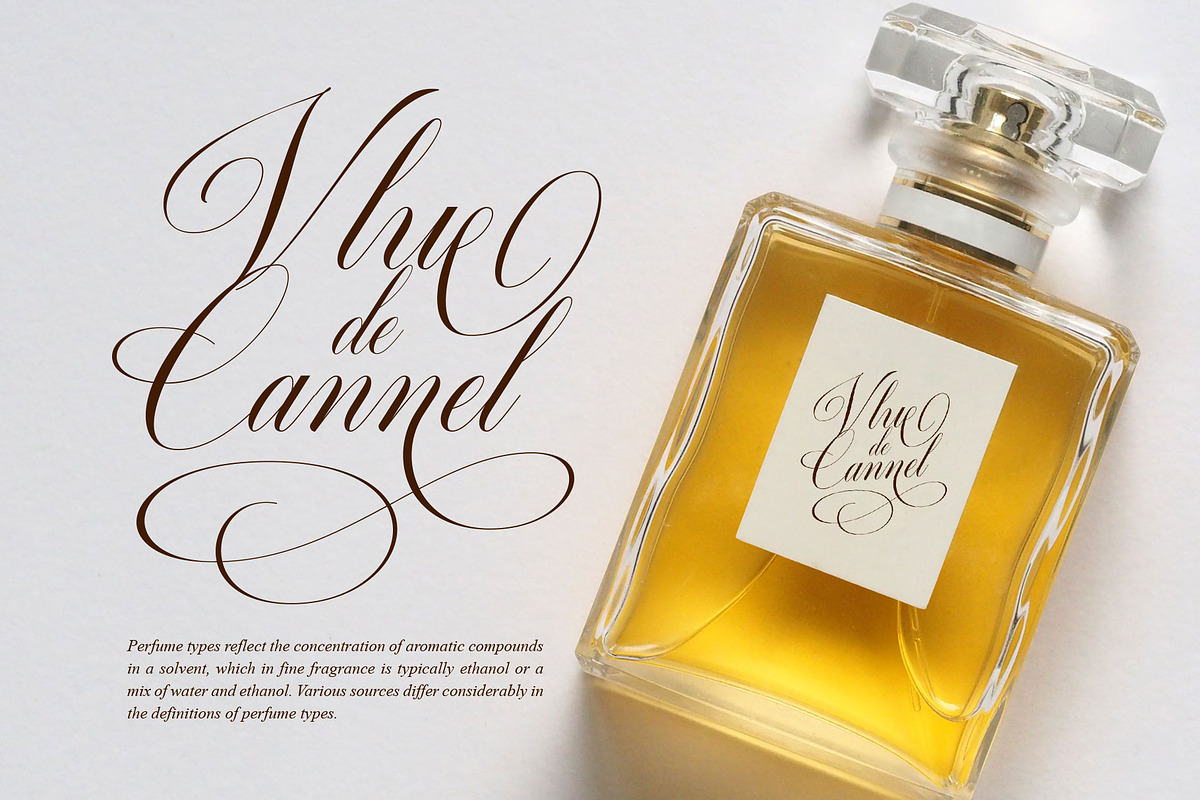 Quadrian - Elegant Script, a Script Font by Arterfak Project (Photo 9 of 13)