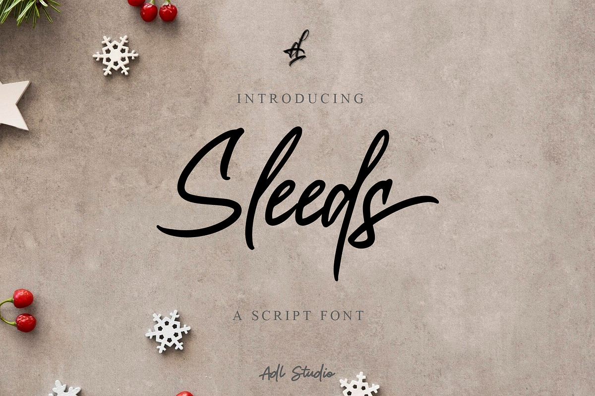 Sleeds, a Script Font by Adl Studio (Photo 1 of 4)