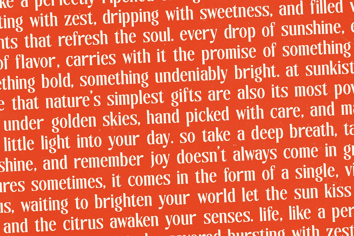 Sunkis Groovy Retro Display Font, a Serif Font by timelesstype.co (Photo 14 of 20)
