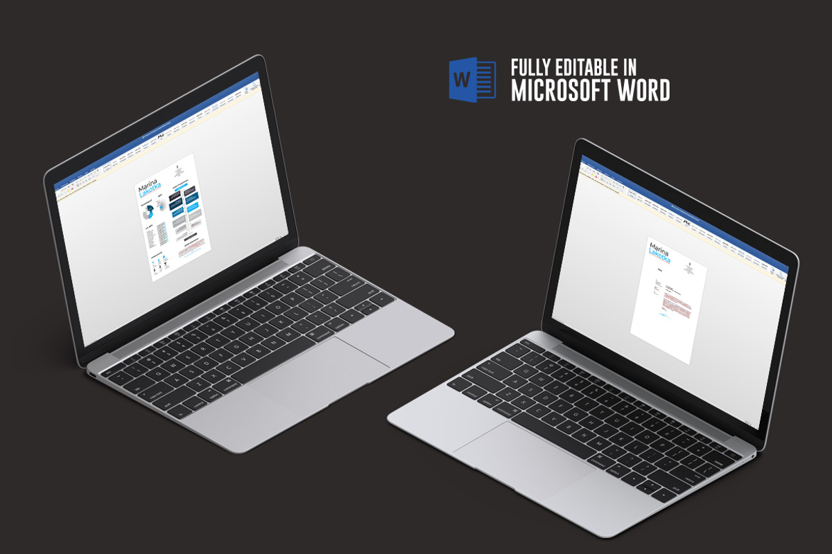Inforgraphic Resume CV, a Resume Template by iDoodle Studio (Photo 5 of 6)