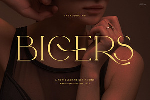 Bicers Elegant Serif Font, a Serif Font by Elegant Font