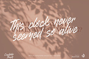 Crushider Brush, a Script Font by Aluyeah Studio (Thumbnail 12 of 14)