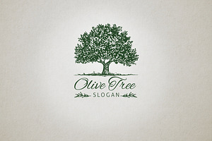 Olive Tree Logo