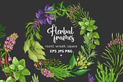 Green spices and herbs templates, a Food Illustration by Primula`s shop (Thumbnail 1 of 4)
