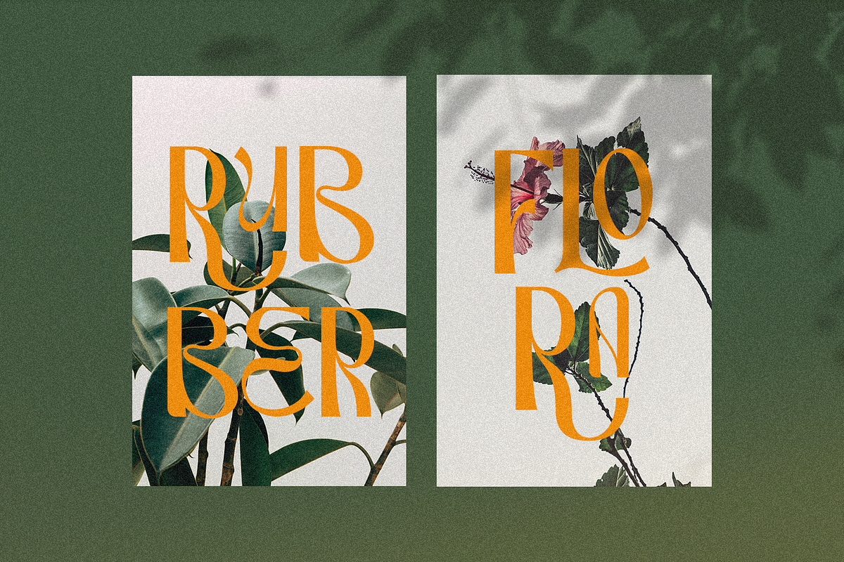 Munish, a Sans Serif Font by FactoryType Studio (Photo 5 of 13)