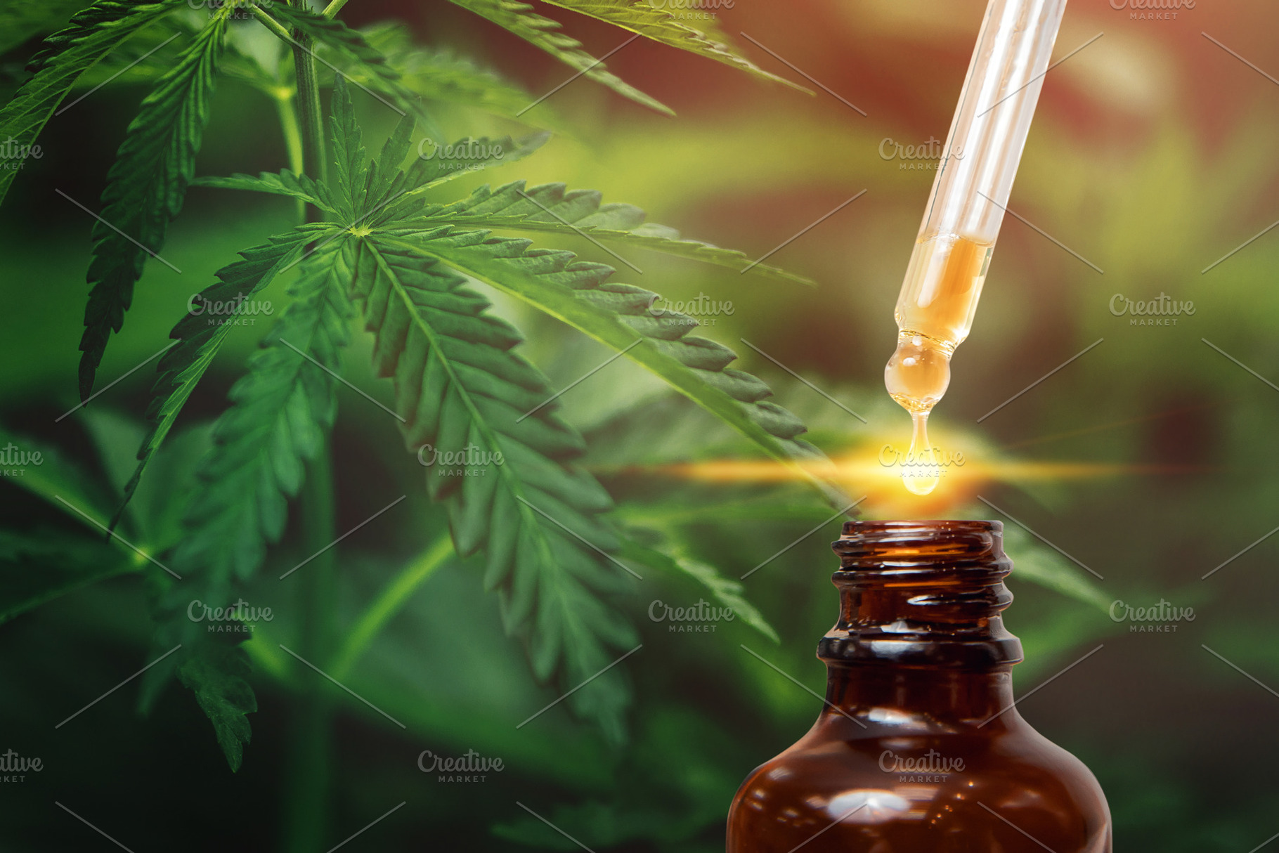 Cannabis cbd oil extracts in jars he containing cbd, oil, and cannabis, a Nature Photo by Parilov